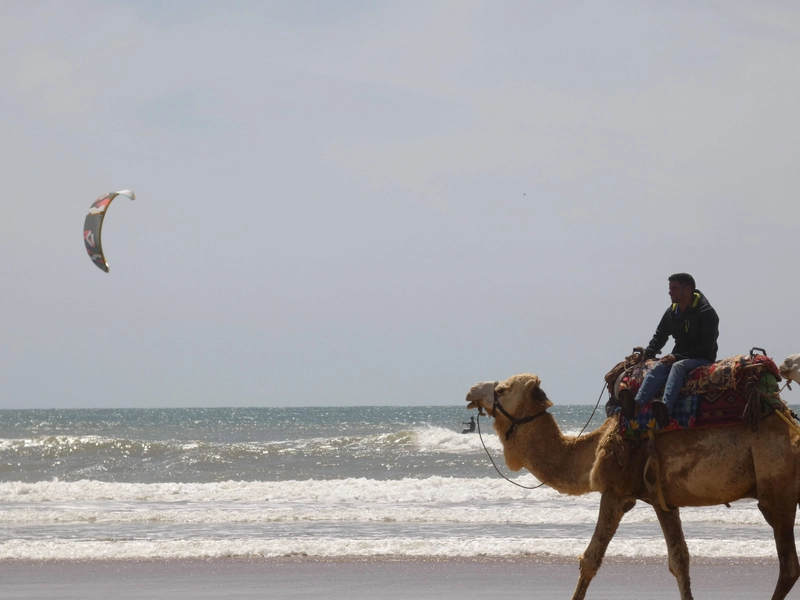 Essaouira18 - essaouira