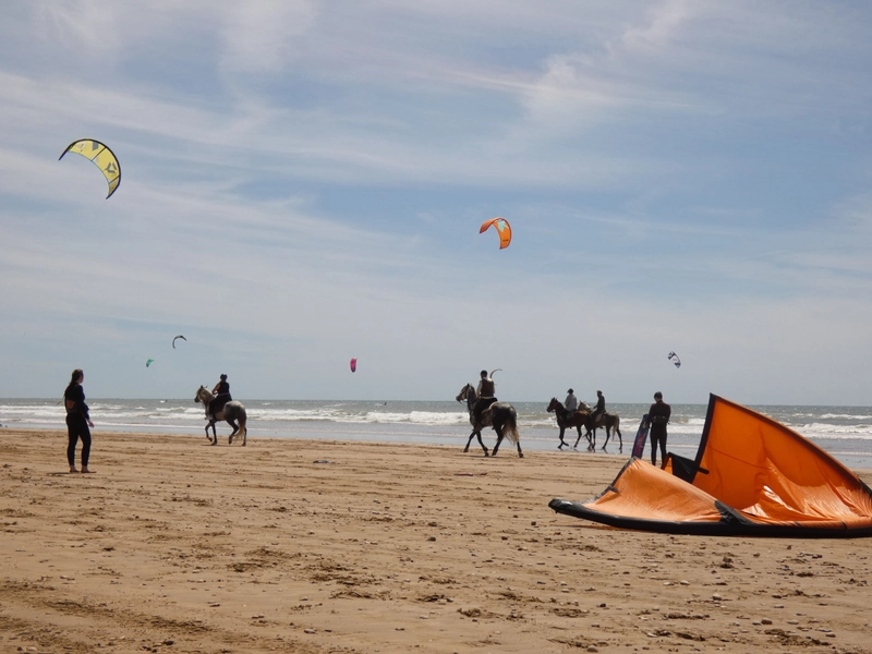 Essaouira19 - essaouira
