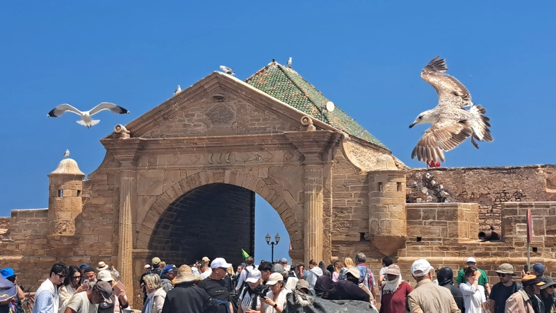 Essaouira5 - essaouira