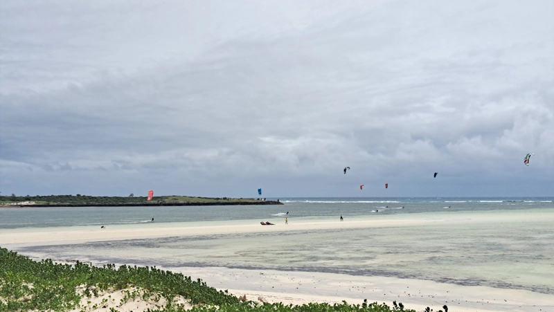 Madagascar1 - madagascar