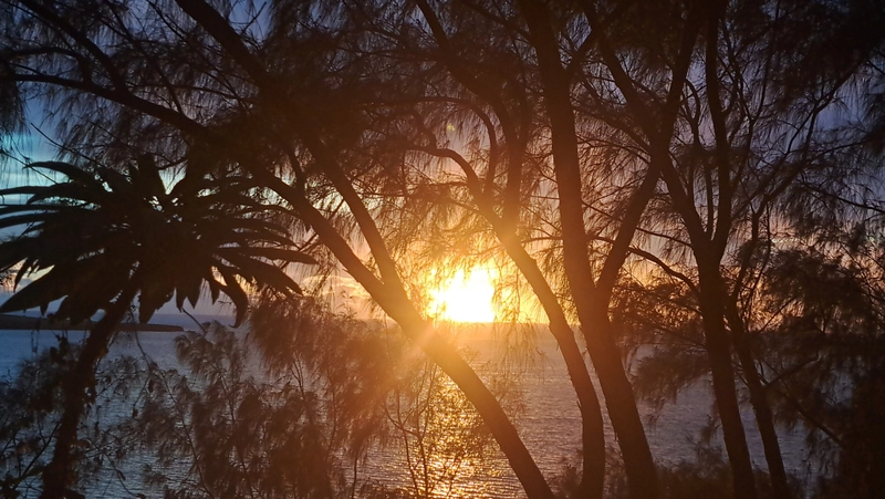 Madagascar20 - madagascar