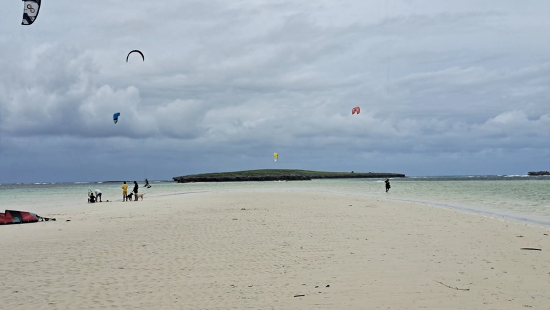 Madagascar3 - madagascar