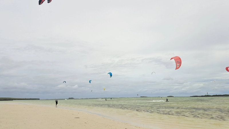 Madagascar4 - madagascar