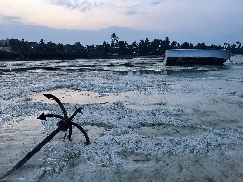 Zanzibar12 - zanzibar