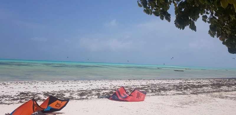 Zanzibar21 - zanzibar