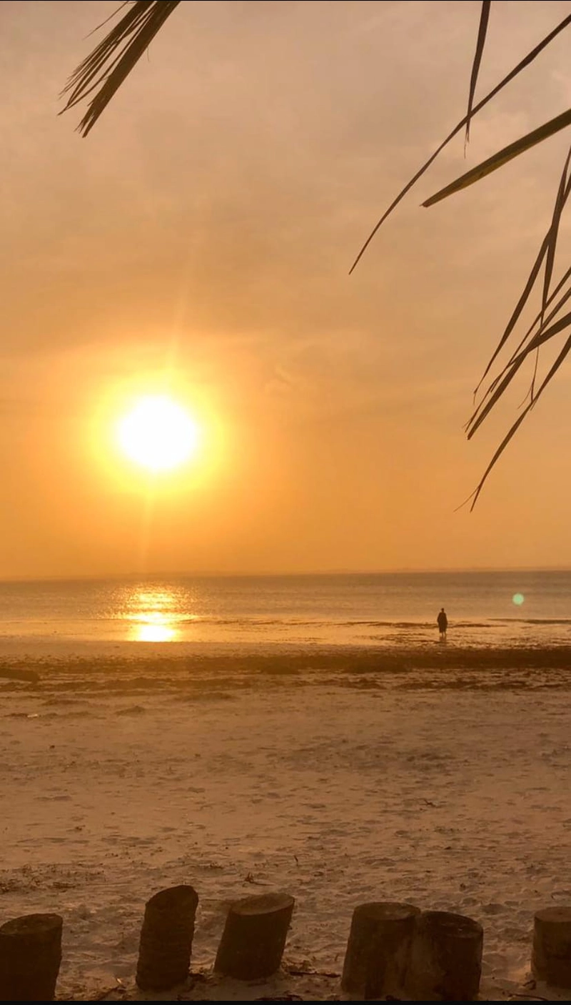 Zanzibar22 - zanzibar