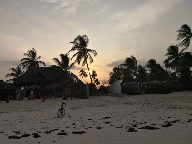 Zanzibar4 - zanzibar
