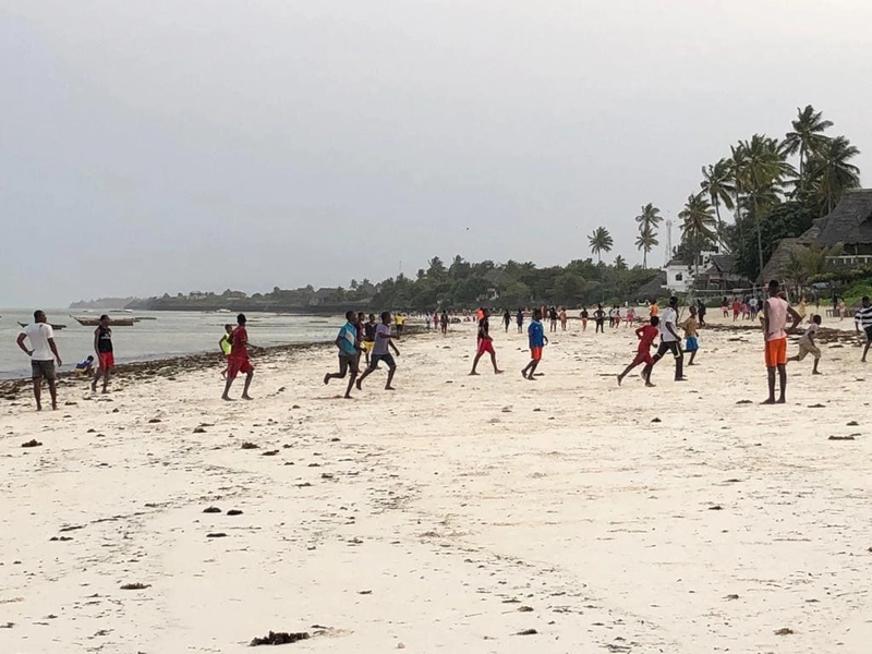 Zanzibar5 - zanzibar