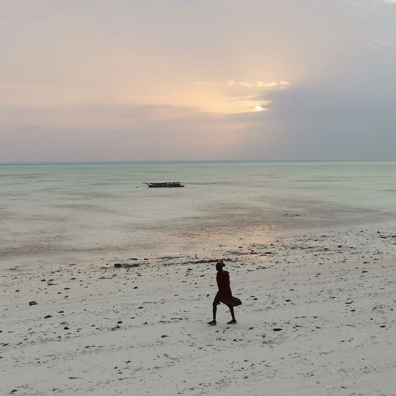 Zanzibar6 - zanzibar