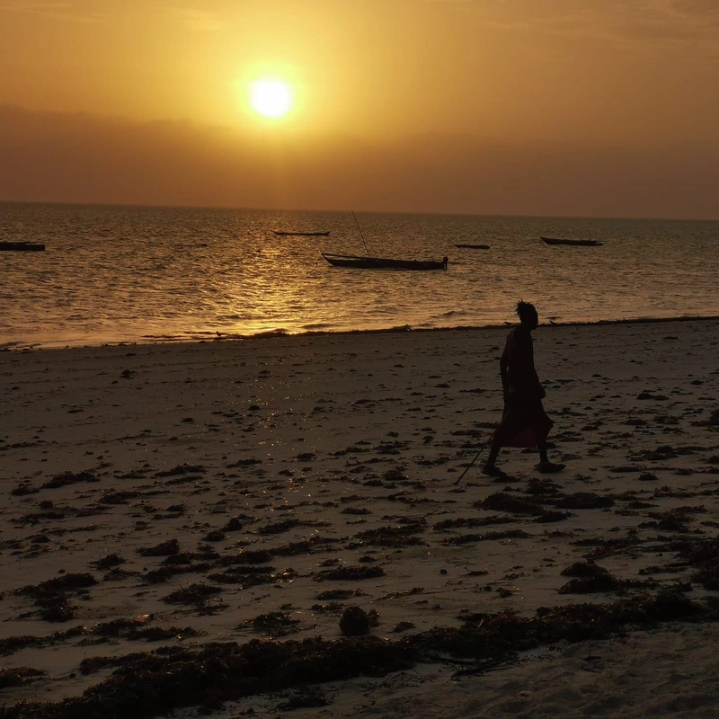 Zanzibar7 - zanzibar